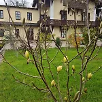 Musik - Historical Apartments,
