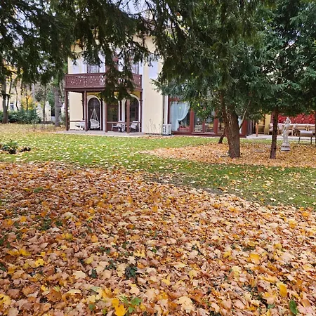 Musik - Historical Apartments, Baden