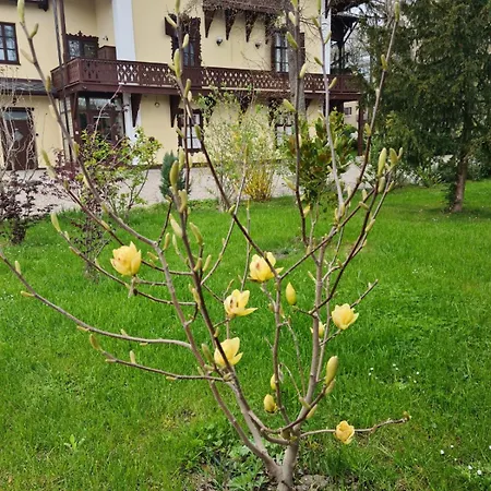 Musik - Historical Apartments,