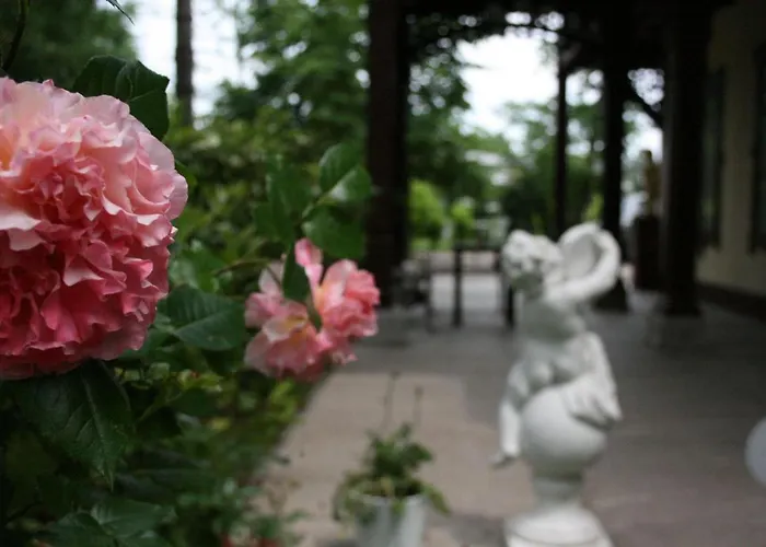 Musik - Historical Apartments, Baden
