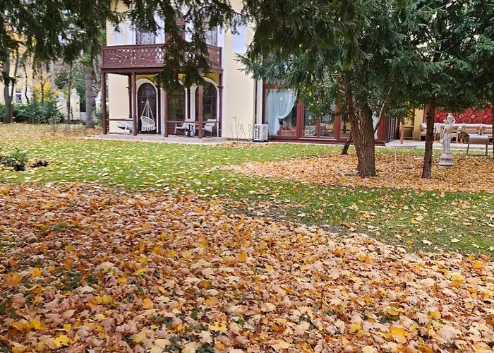 Musik - Historical Apartments, Baden