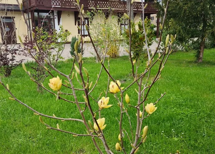 Musik - Historical Apartments,